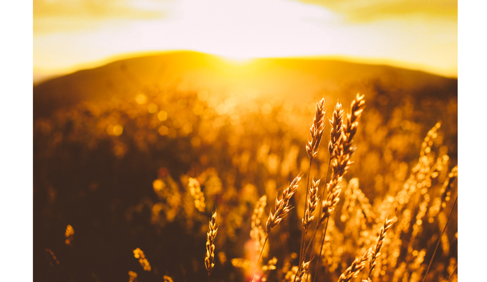 Sometimes the greatest occurrences when in search of swell are in the moments caught searching. Photo:<a href=\"https://www.colinnearman.com\">Colin Nearman</a>