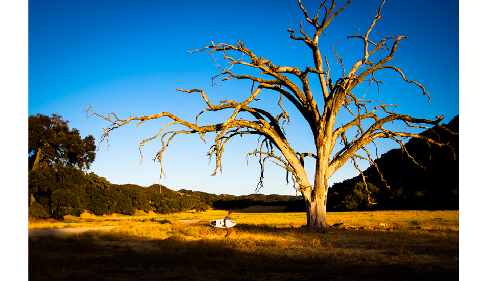 Relaxing days spent roaming the central coast.  Photo:<a href=\"https://www.colinnearman.com\">Colin Nearman</a>