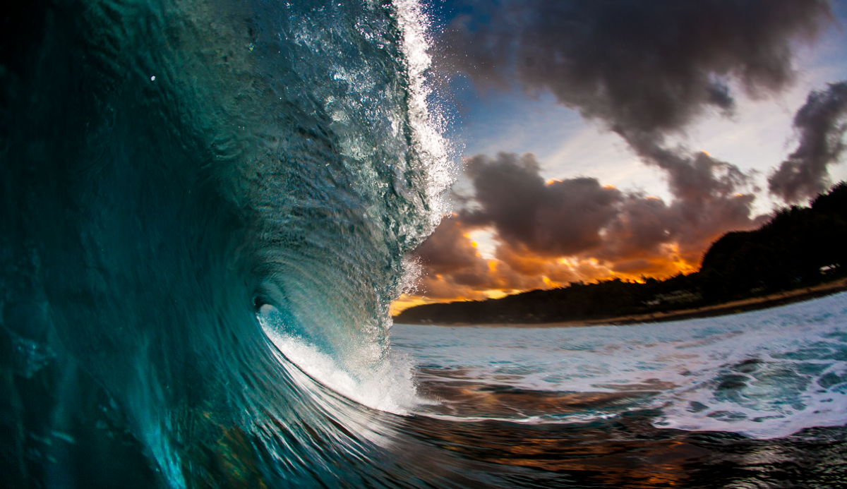 Early bird grabbing the worm in Hawaii. Photo: <a href=\"https://davenelson-photography.com\">David Nelson</a>