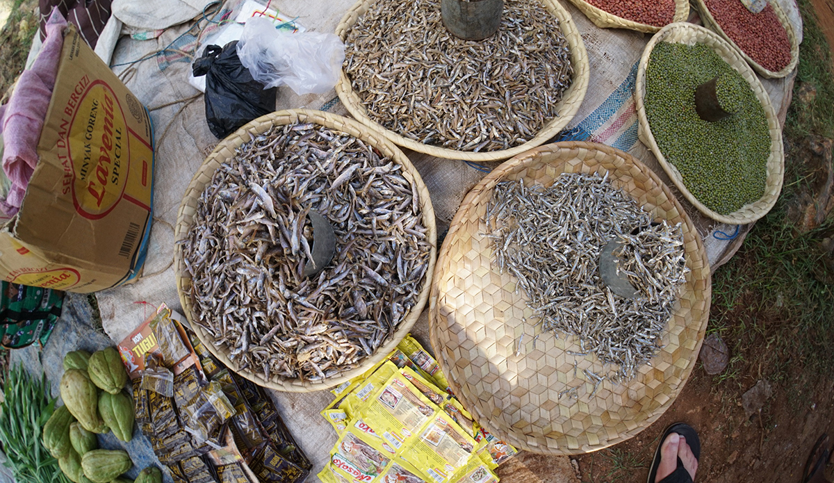   Indonesian Flavor. Photo: Jason Kenworthy