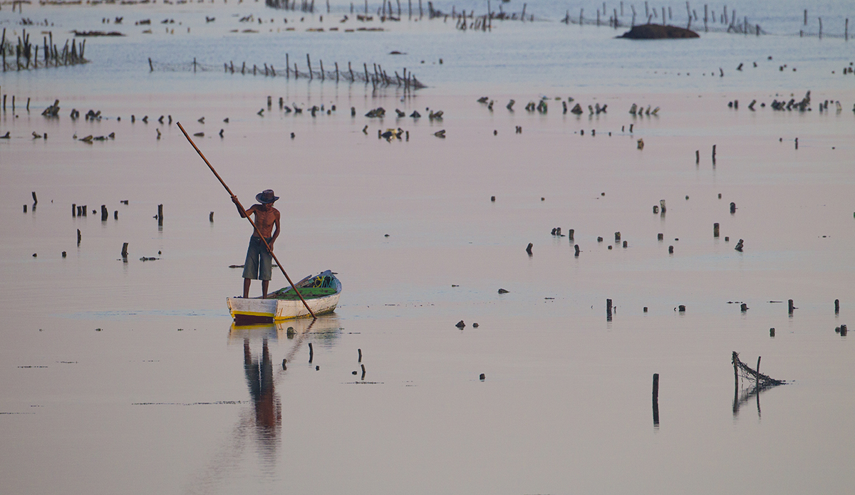 Local seaweed farming helps support the local community. Photo: Jason Kenworthy
