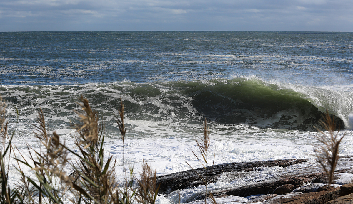 Photo: Clark Leonard 