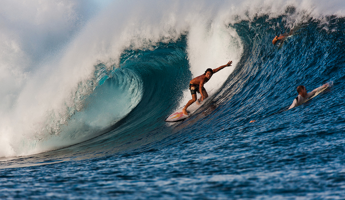 Photo: <a href=\"https://clairemurphyphotos.com/\">Claire Murphy</a>