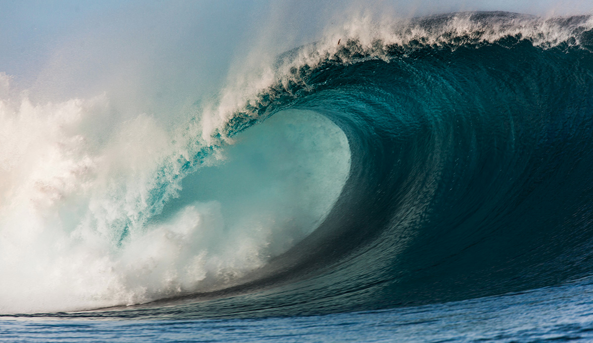 Photo: <a href=\"https://clairemurphyphotos.com/\">Claire Murphy</a>