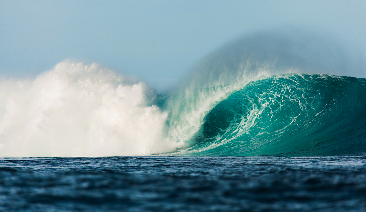 Photo: <a href=\"https://clairemurphyphotos.com/\">Claire Murphy</a>