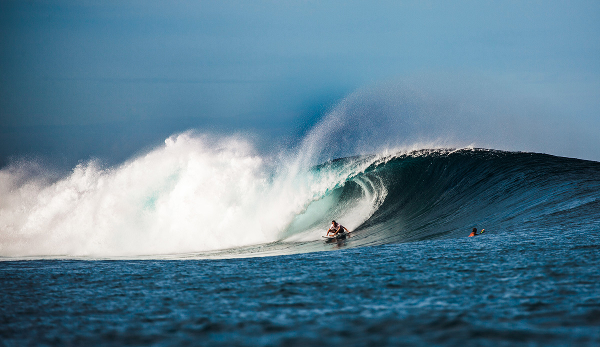 Photo: <a href=\"https://clairemurphyphotos.com/\">Claire Murphy</a>