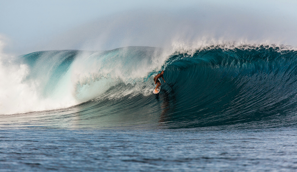 Photo: <a href=\"https://clairemurphyphotos.com/\">Claire Murphy</a>