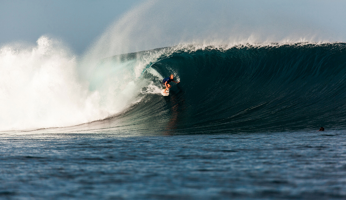 Photo: <a href=\"https://clairemurphyphotos.com/\">Claire Murphy</a>