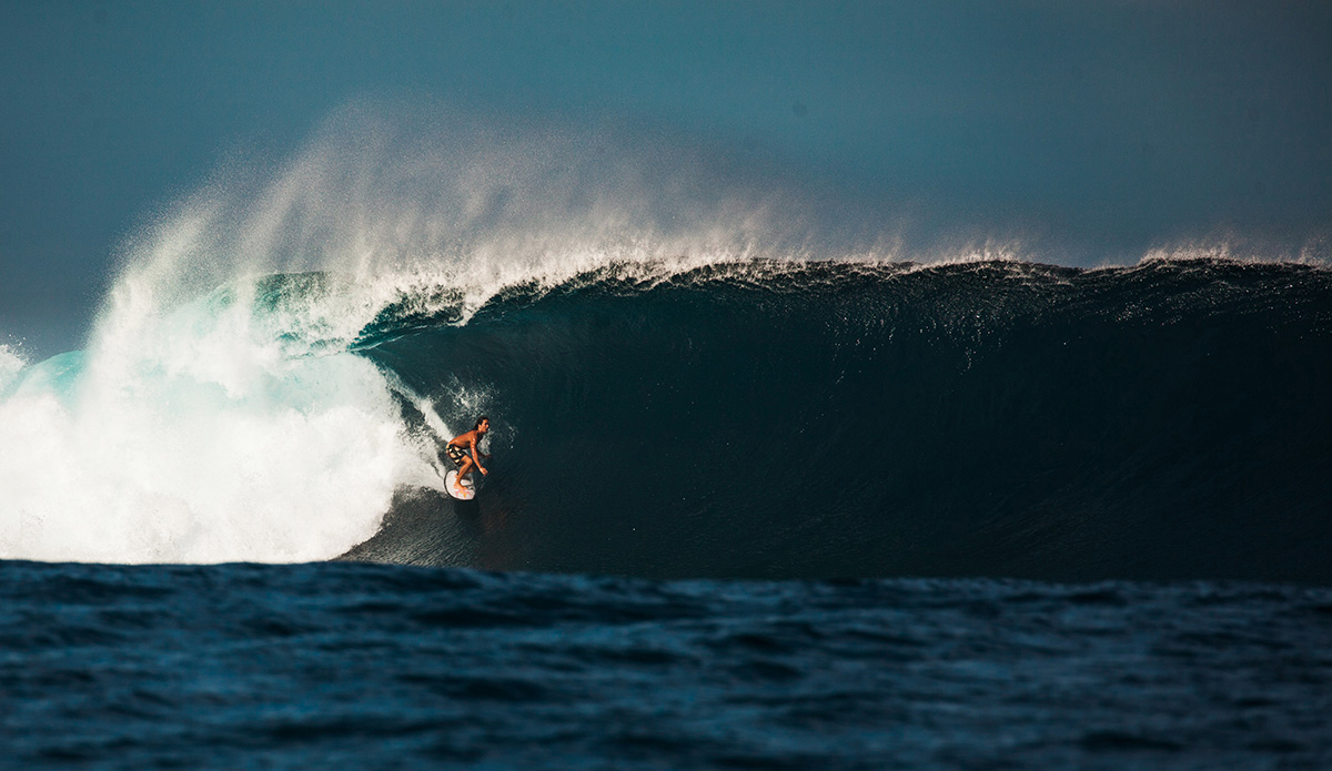 Photo: <a href=\"https://clairemurphyphotos.com/\">Claire Murphy</a>