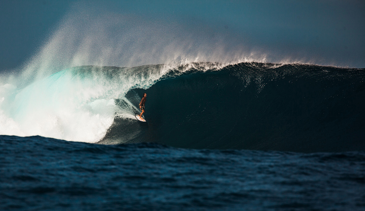 Photo: <a href=\"https://clairemurphyphotos.com/\">Claire Murphy</a>