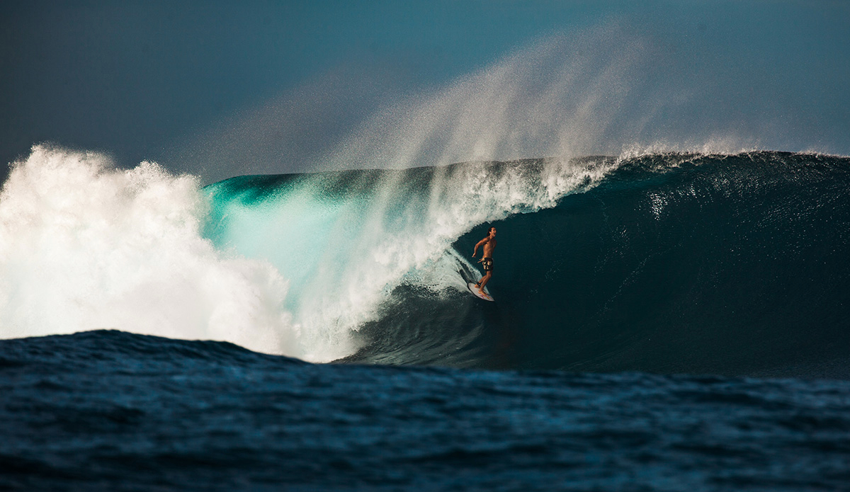 Photo: <a href=\"https://clairemurphyphotos.com/\">Claire Murphy</a>