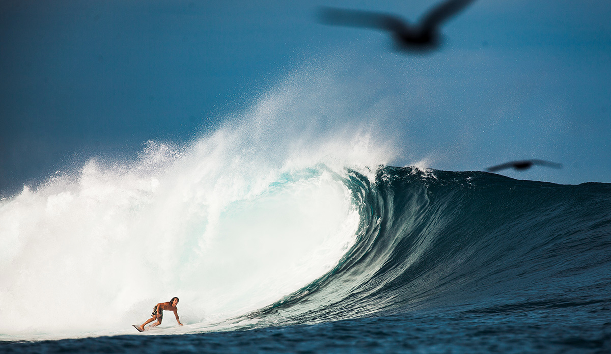 Photo: <a href=\"https://clairemurphyphotos.com/\">Claire Murphy</a>