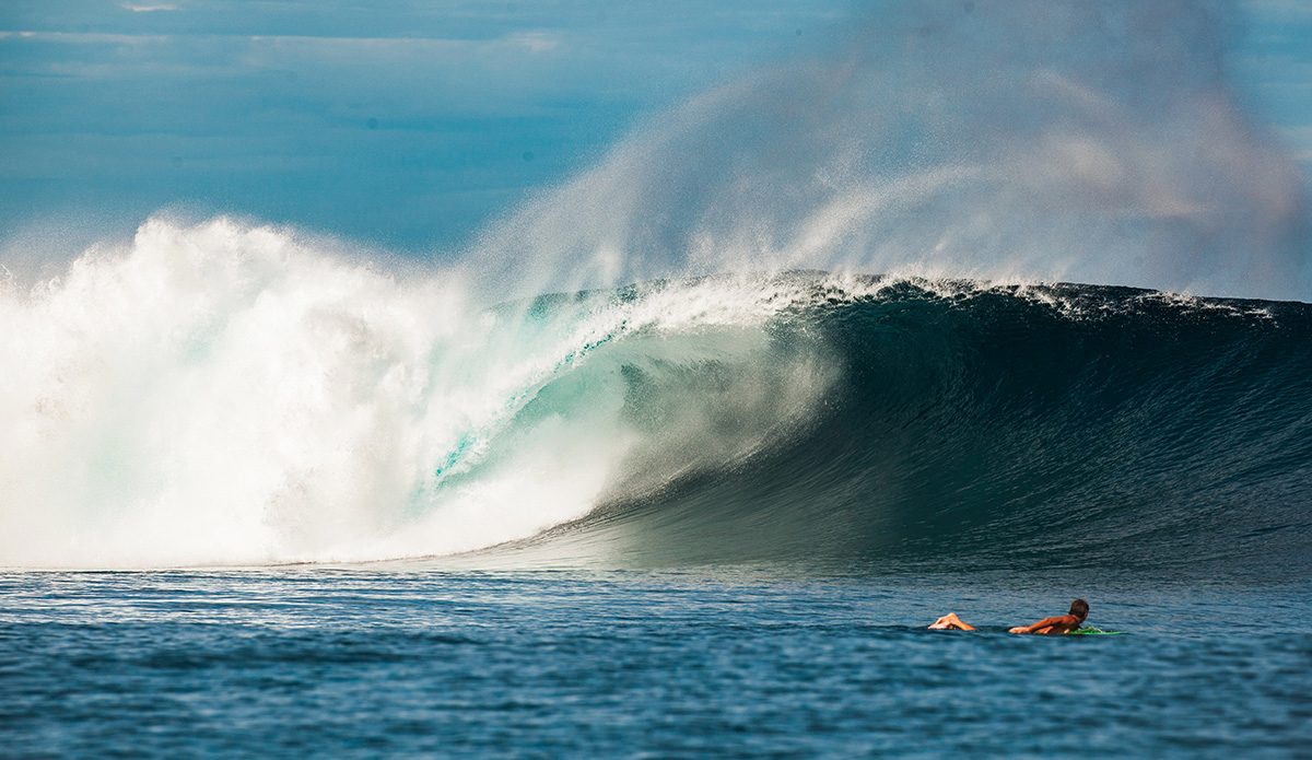 Photo: <a href=\"https://clairemurphyphotos.com/\">Claire Murphy</a>