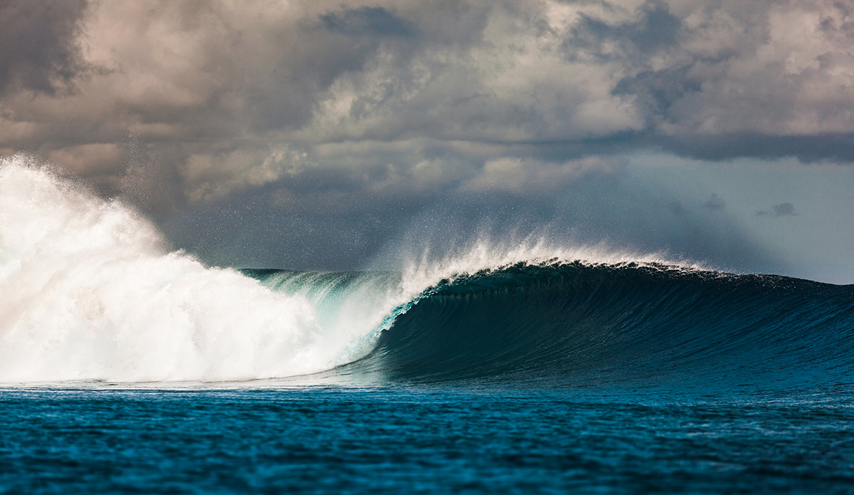 Photo: <a href=\"https://clairemurphyphotos.com/\">Claire Murphy</a>