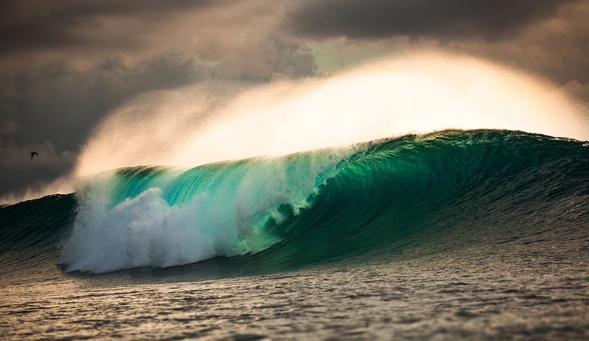 Photo: <a href=\"https://clairemurphyphotos.com/\">Claire Murphy</a>