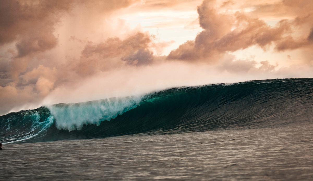 Photo: <a href=\"https://clairemurphyphotos.com/\">Claire Murphy</a>