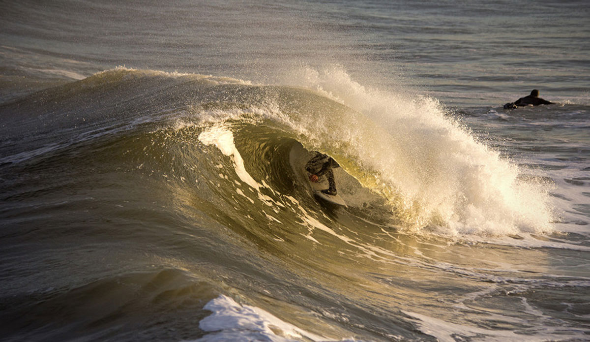 Unknown tucked into a golden barrel. Photo: <a href=\"https://www.davenilsenphotography.com/\">David Nilsen</a>