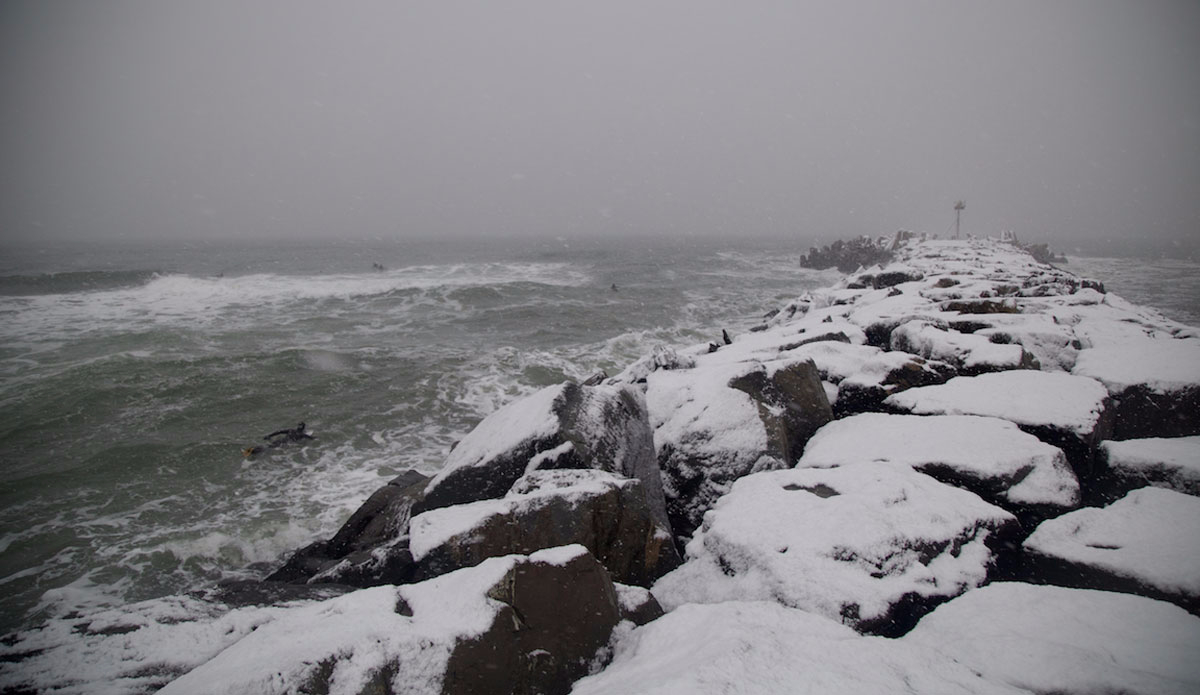 The line up at the jetty during a January snowfall. Photo: <a href=\"https://michaelguccione.smugmug.com/\"> Michael Guccione</a>