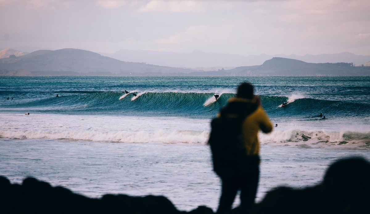 Box of Light getting his shots. Photo: <a href=\"https://www.jdsmit.co.nz\">Jono Smit</a>