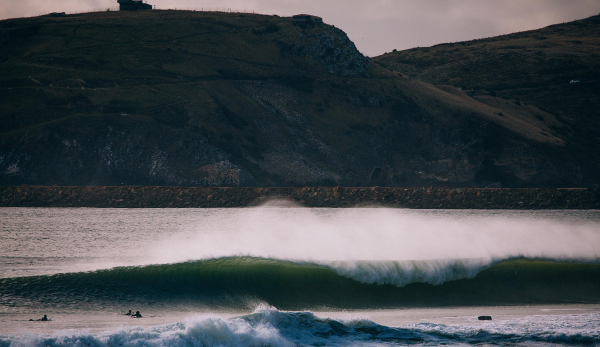 Somebody. Anybody.  Photo: <a href=\"https://www.jdsmit.co.nz\">Jono Smit</a>