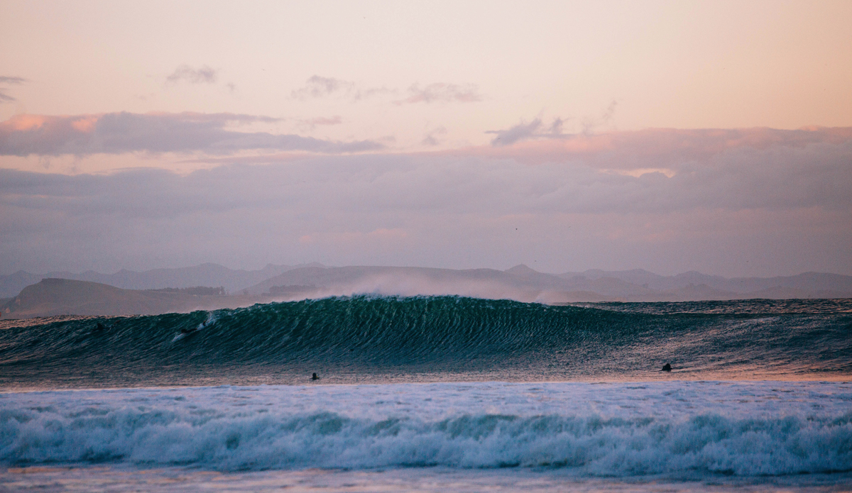 Delicious southern wall. Photo: <a href=\"https://www.jdsmit.co.nz\">Jono Smit</a>