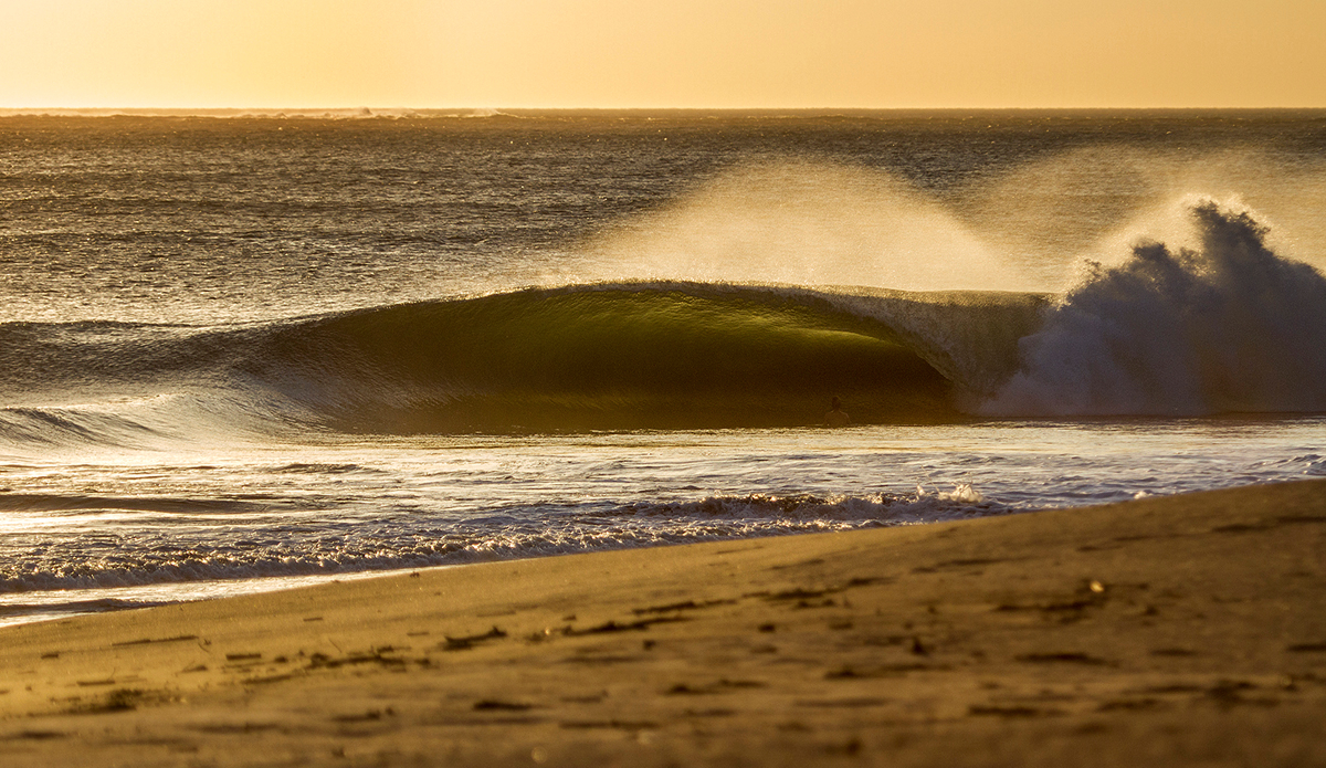 Photo: <a href=\"www.davidnilsenphotography.com\">David Nilsen Photography</a>