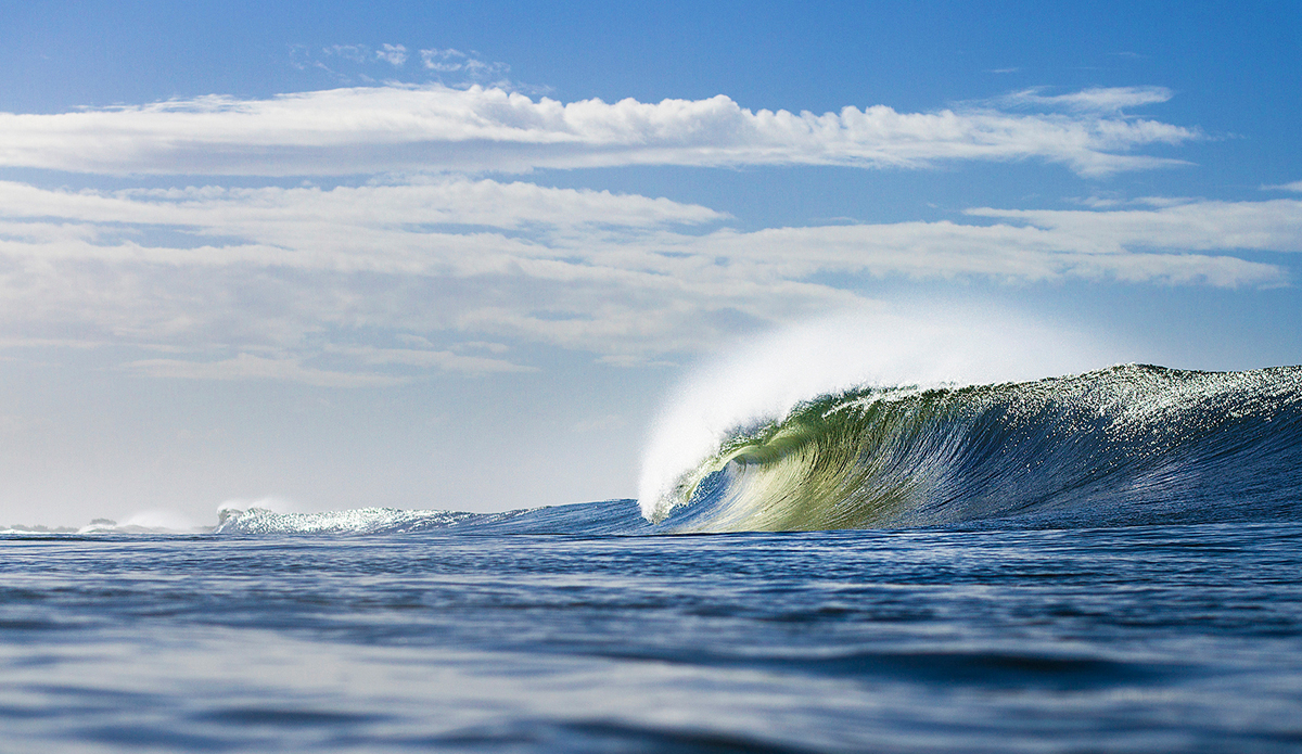 Photo: <a href=\"www.davidnilsenphotography.com\">David Nilsen Photography</a>