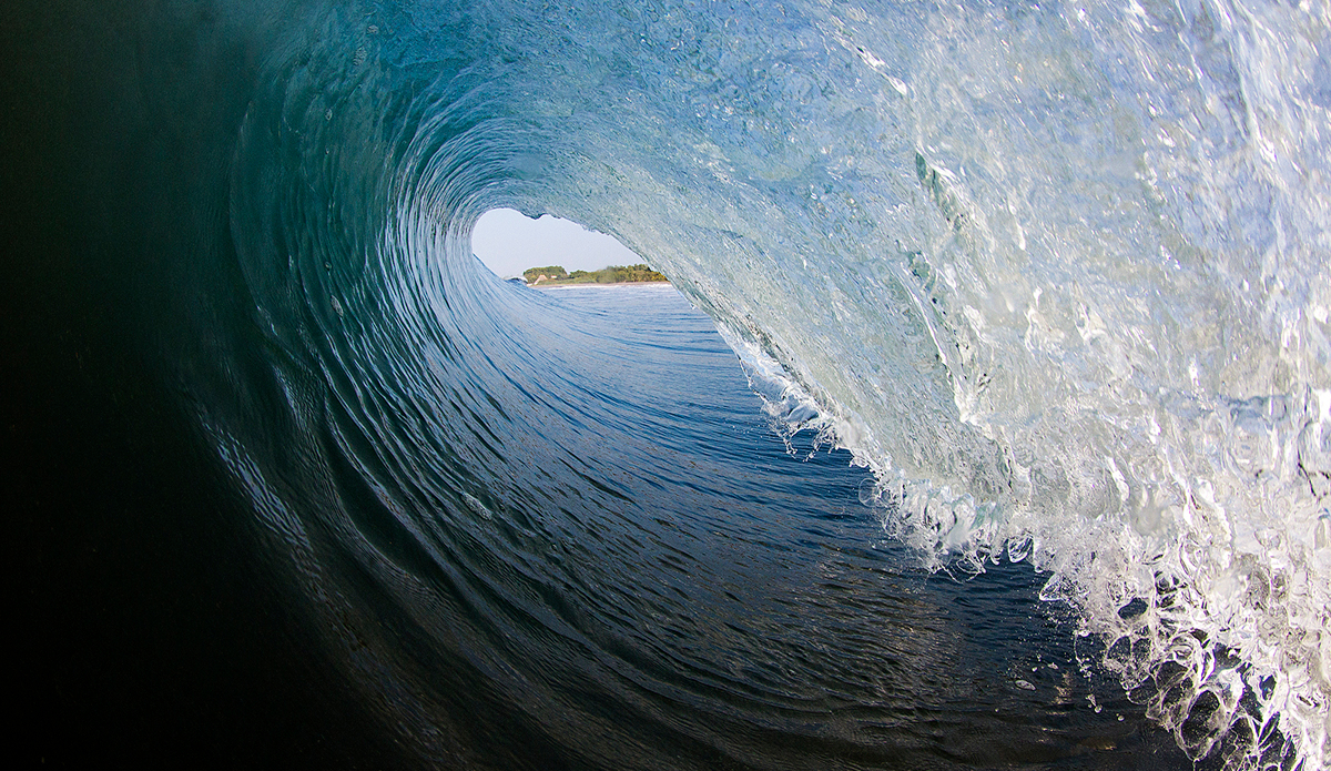 Photo: <a href=\"www.davidnilsenphotography.com\">David Nilsen Photography</a>