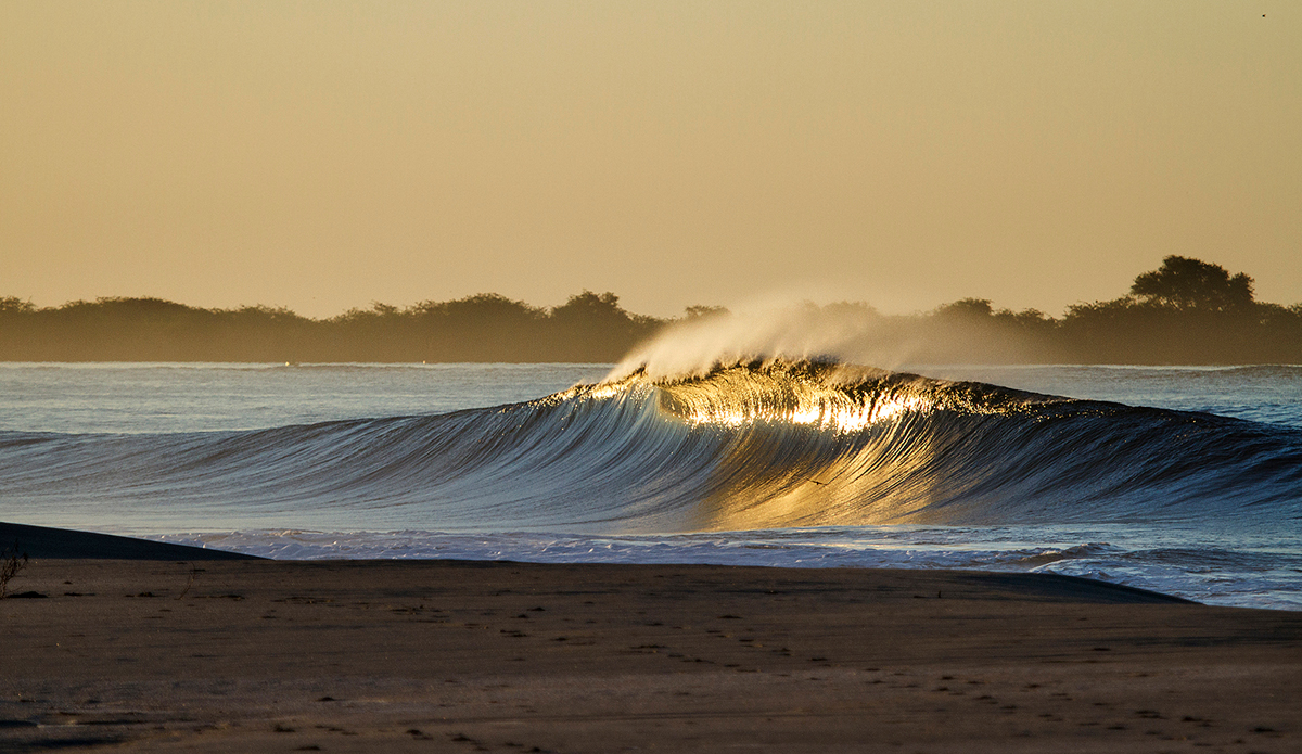 Photo: <a href=\"www.davidnilsenphotography.com\">David Nilsen Photography</a>