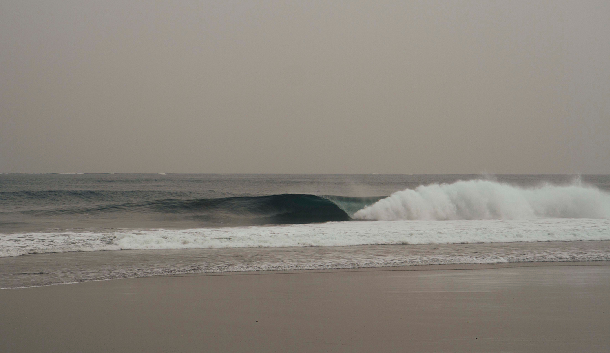 Photo: <a href=\"www.teewhyphotos.com\">Tom Young</a>