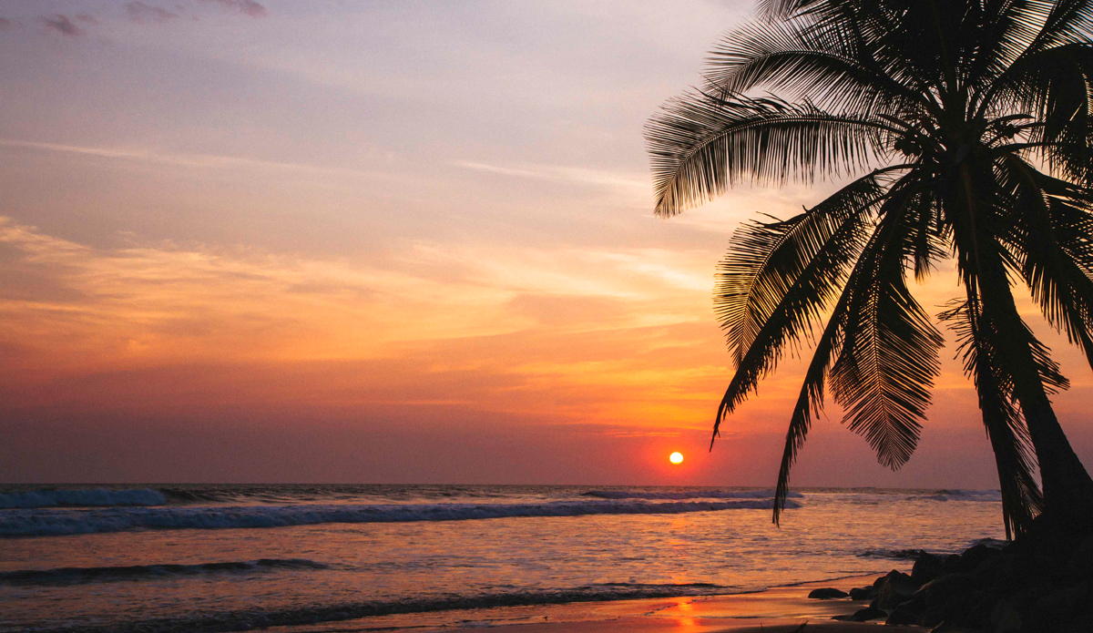 Photo: <a href=\"www.teewhyphotos.com\">Tom Young</a>