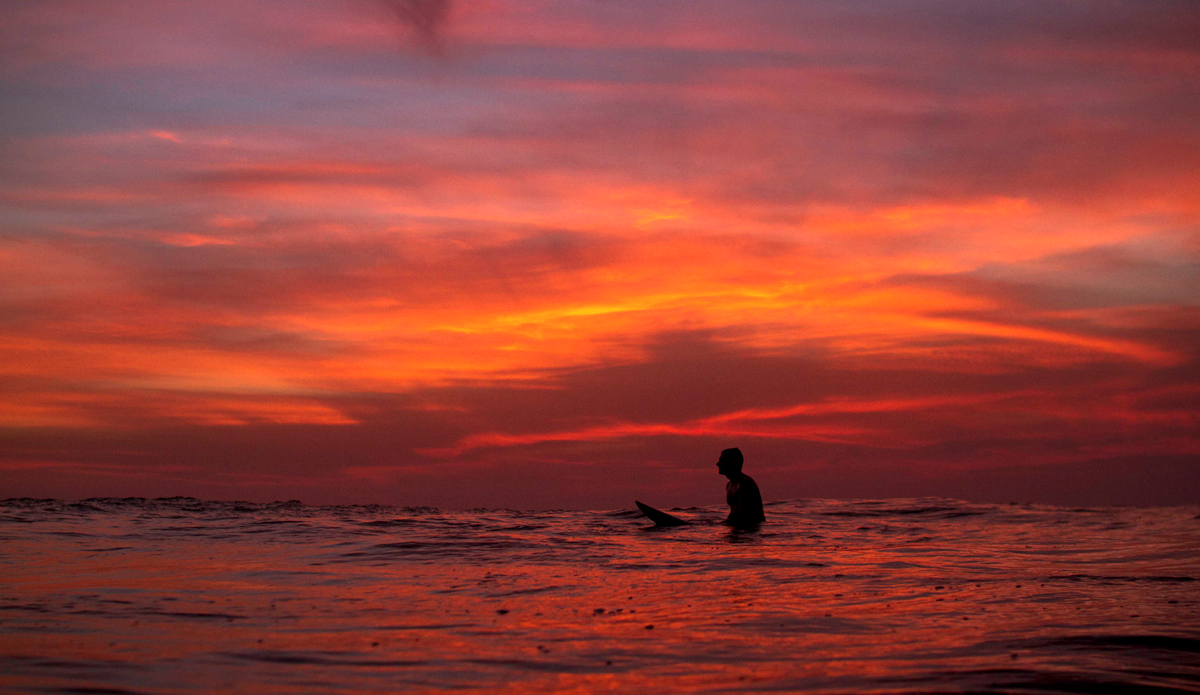 Photo: <a href=\"www.teewhyphotos.com\">Tom Young</a>