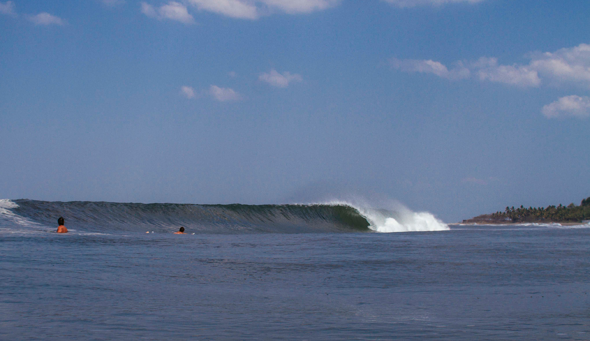 Photo: <a href=\"www.teewhyphotos.com\">Tom Young</a>