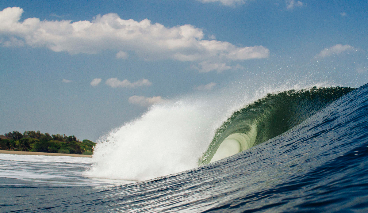 Photo: <a href=\"www.teewhyphotos.com\">Tom Young</a>