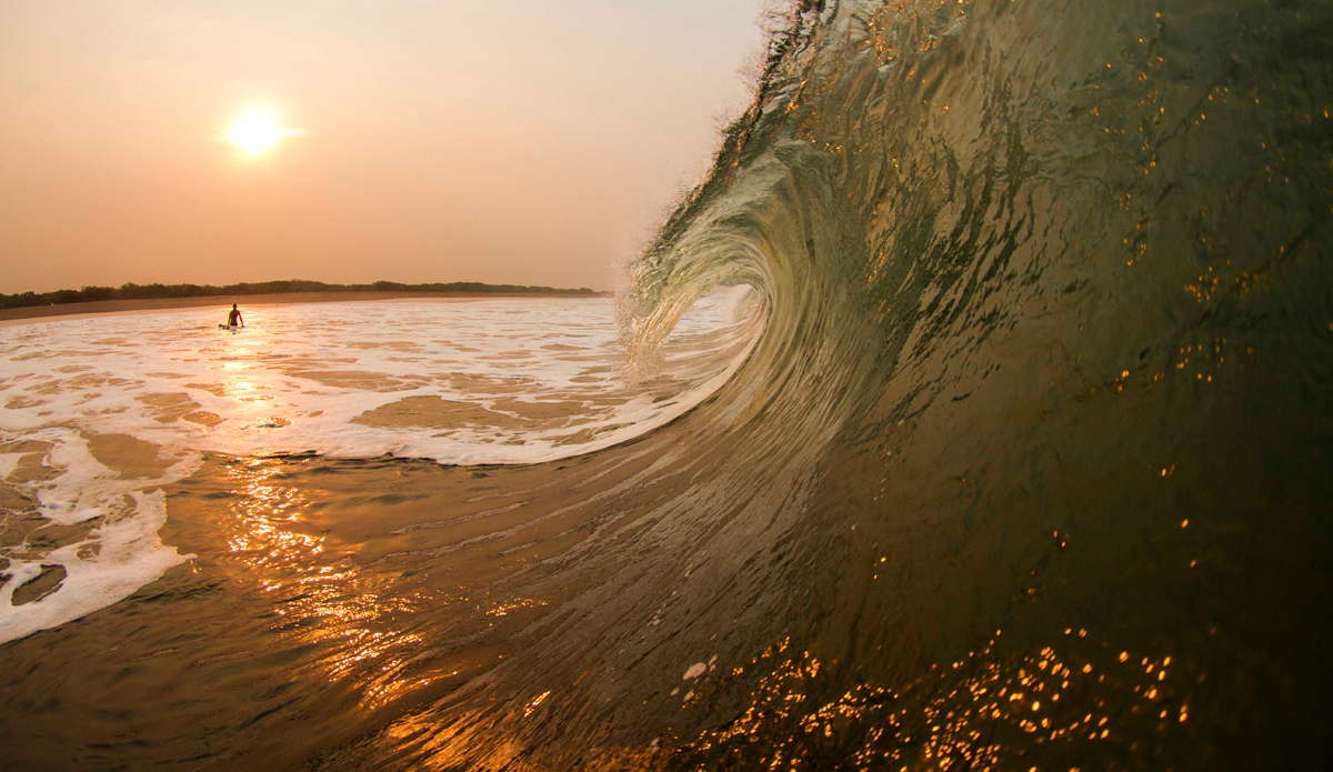 Photo: <a href=\"www.teewhyphotos.com\">Tom Young</a>