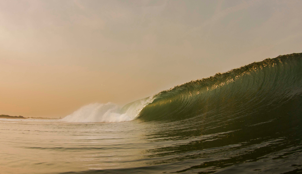 Photo: <a href=\"www.teewhyphotos.com\">Tom Young</a>