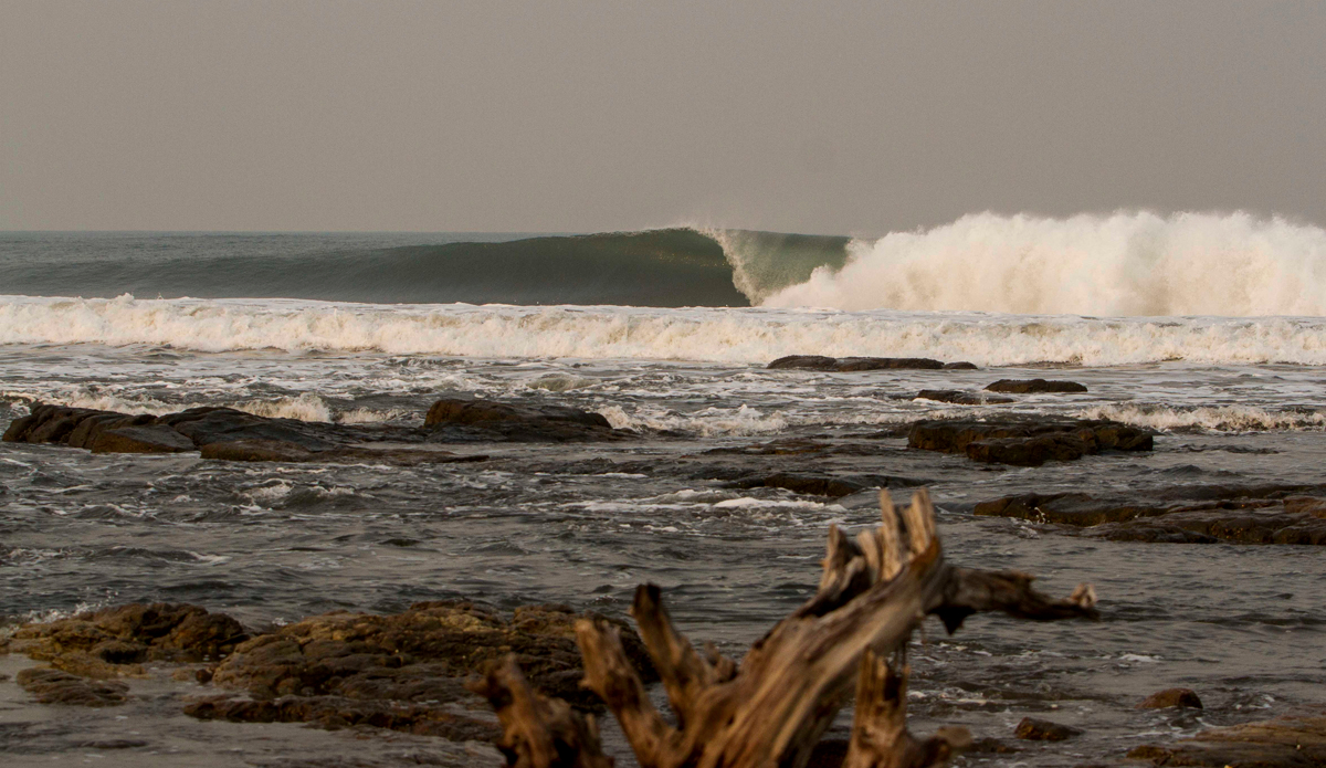 Photo: <a href=\"www.teewhyphotos.com\">Tom Young</a>