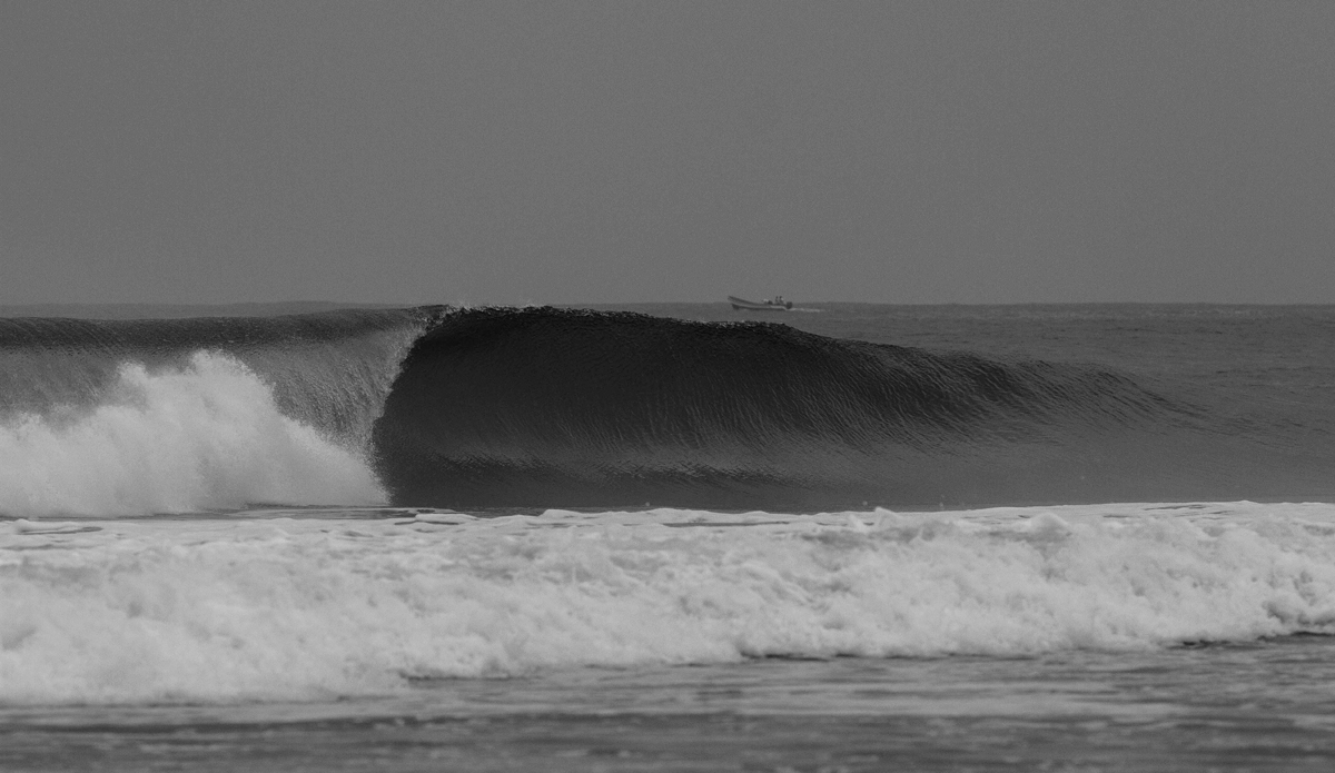 Photo: <a href=\"www.teewhyphotos.com\">Tom Young</a>