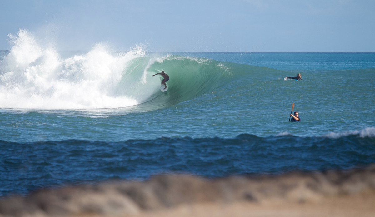  Davey Gonsalves at Bowls. Photo: <a href=\"https://www.nrhphotos.com\">Nicholas Hoermann / NRH Photos</a>