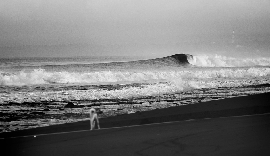 Gems like this often pass through undetected during the wet season. Photo: <a href=\"https://www.nickliotta.com\">Nick Liotta</a>