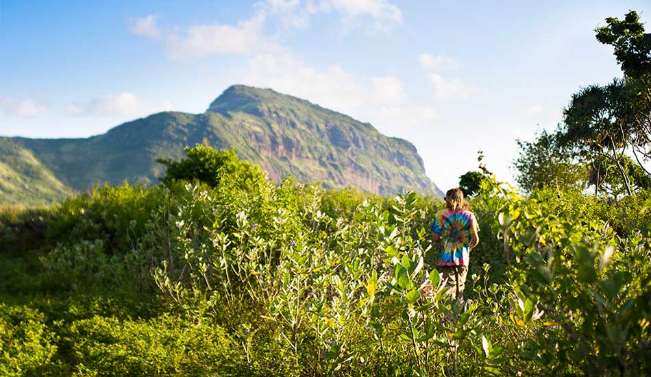 A rather exotic way to check the waves with Brett Ayres. Photo: <a href=\"https://www.nickliotta.com\">Nick Liotta</a>