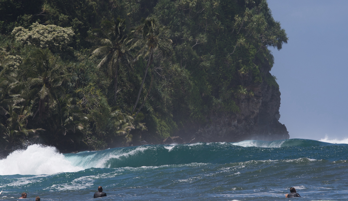 Thank you, Guillermo. Photo: <a href=\"https://www.nickricca.com\">Nick Ricca</a>