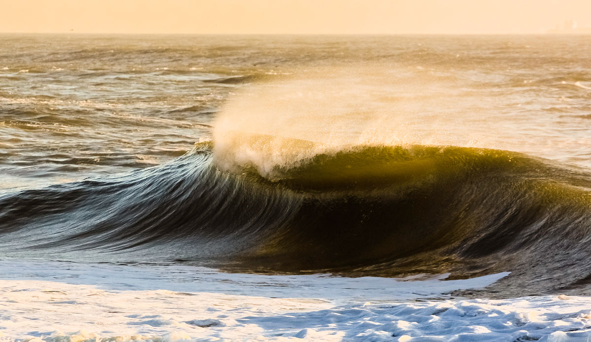 You wouldn’t believe how heavy this two-foot monster is. Photo: <a href=\"https://instagram.com/nicktribuno\">Nick Tribuno</a>