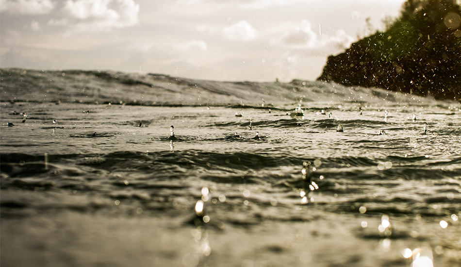 I watch as each droplet falls before my eyes. Photo: <a href=\"https://www.thetypewriterboy.com/\"> Nico Beighton</a>