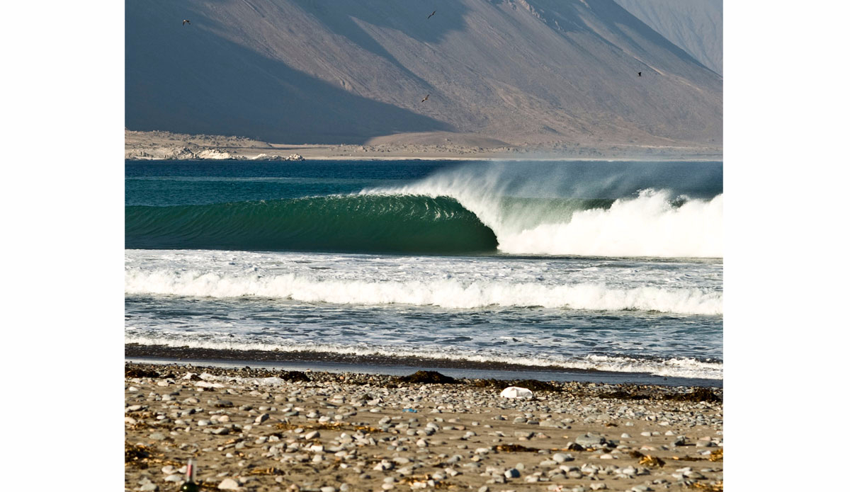 Photo: <a href=\"https://instagram.com/nicolalugo\">Nicola Lugo</a>