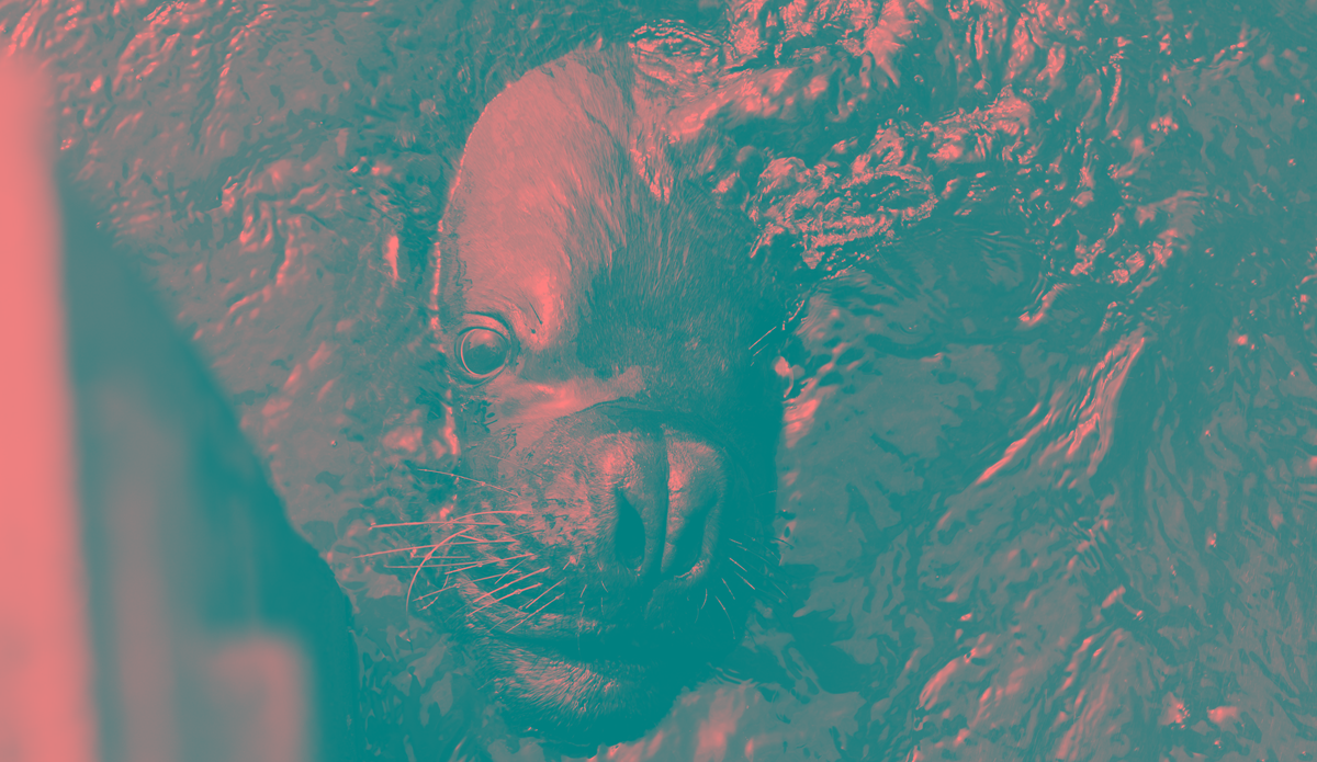 Photo: <a href=\"https://instagram.com/nicolalugo\">Nicola Lugo</a>