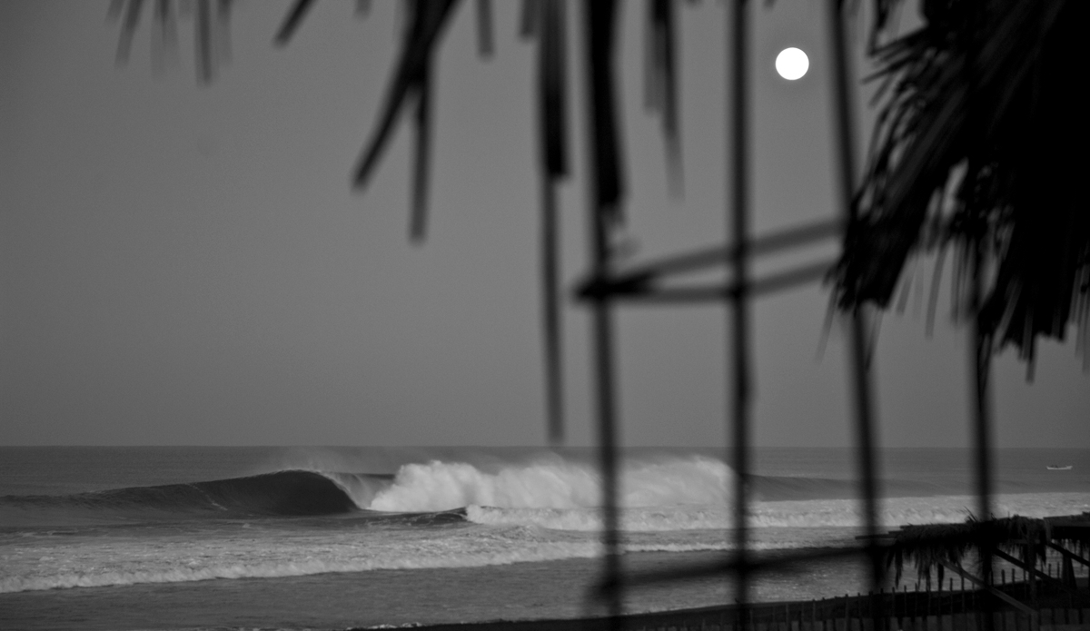 Photo: <a href=\"https://instagram.com/nicolalugo\">Nicola Lugo</a>