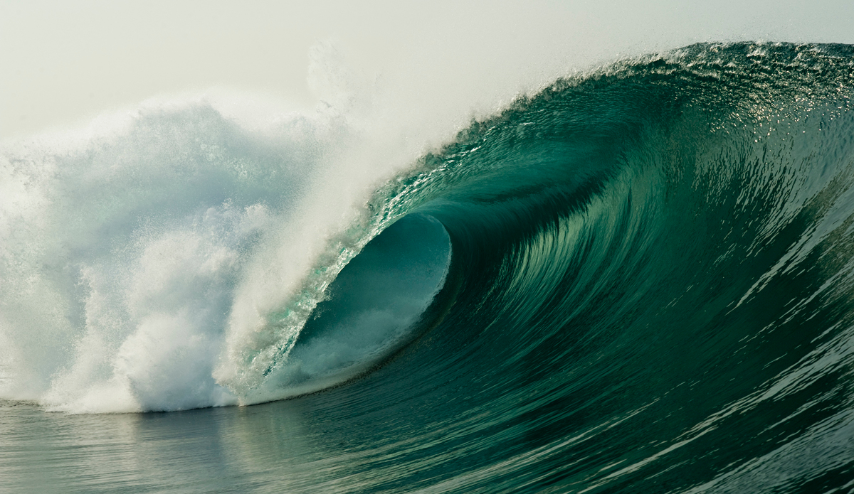 Photo: <a href=\"https://instagram.com/nicolalugo\">Nicola Lugo</a>