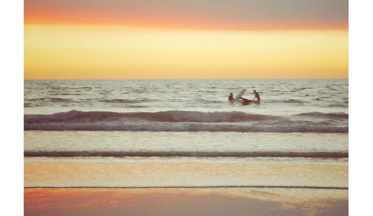 Double Date Photo: <a href=\"https://beachradishimages.com/\">beachradish images</a>