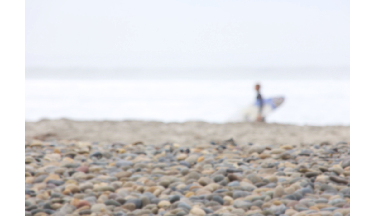 Focused Photo: <a href=\"https://beachradishimages.com/\">beachradish images</a>